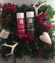 Load image into Gallery viewer, Design Master Colortool Spray-Basil