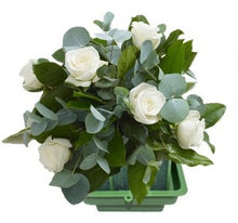 Load image into Gallery viewer, OASIS® Easy Fix Standard Holder