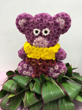 Load image into Gallery viewer, OASIS® 2D BEAR