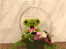 Load image into Gallery viewer, OASIS® 2D BEAR