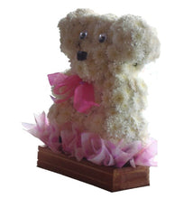 Load image into Gallery viewer, OASIS® 2D BEAR