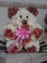 Load image into Gallery viewer, OASIS® 2D BEAR