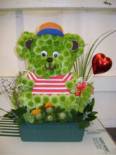 Load image into Gallery viewer, OASIS® 2D BEAR