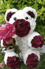 Load image into Gallery viewer, OASIS® 3D Bear 29.5cm