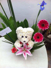 Load image into Gallery viewer, OASIS® 3D Bear 21.5cm