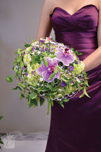 Load image into Gallery viewer, OASIS® Grande Lady