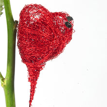 Load image into Gallery viewer, OASIS BULLION STEEL WIRE GOLD