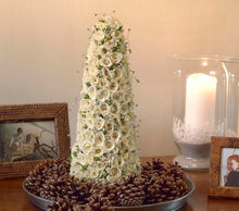 Load image into Gallery viewer, OASIS® Cone 32CM Height With Net