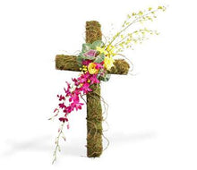 Load image into Gallery viewer, OASIS® Jumbo Cross