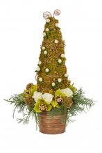 Load image into Gallery viewer, OASIS® Cone 24CM Height With Net