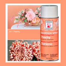 Load image into Gallery viewer, Design Master Colortool Spray-Peachy