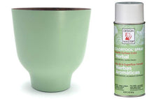 Load image into Gallery viewer, Design Master Colortool Spray- Herbal