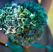 Load image into Gallery viewer, Design Master Just For Flowers Spray-Peacock