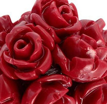 Load image into Gallery viewer, Design Master Just For Flowers Spray-Coral Bell