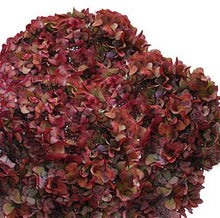 Load image into Gallery viewer, Design Master Just For Flowers Spray-Poppy