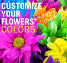 Load image into Gallery viewer, Absorbit Dye Hot Pink