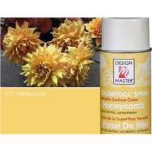 Load image into Gallery viewer, Design Master Colortool Spray-Honeycomb