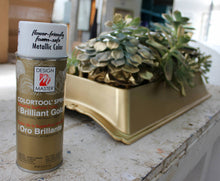Load image into Gallery viewer, Design Master Colortool Metal Spray -Brilliant Gold