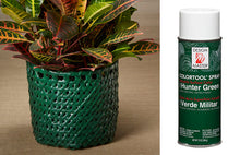 Load image into Gallery viewer, Design Master Colortool Spray-Hunter Green