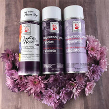 Load image into Gallery viewer, Design Master Colortool Spray-Hyacinth