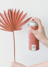 Load image into Gallery viewer, Design Master Colortool Spray-Red Clay