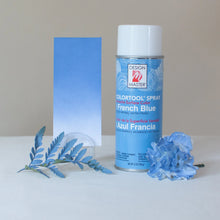 Load image into Gallery viewer, Design Master Colortool Spray-French Blue
