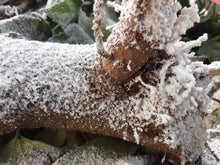 Load image into Gallery viewer, Design Master Holiday Decorating Spray -Snoblast