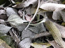 Load image into Gallery viewer, Design Master Holiday Decorating Spray -Snoblast