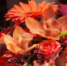 Load image into Gallery viewer, Design Master Just For Flowers Spray-Tiger Lily