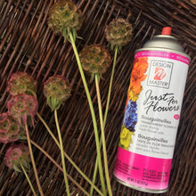 Load image into Gallery viewer, Design Master Just For Flowers Spray-Bougainvillea