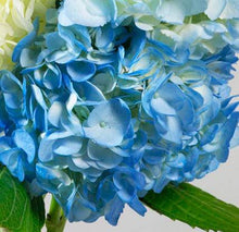 Load image into Gallery viewer, Design Master Just For Flowers Spray-Delphinium Blue