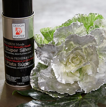 Load image into Gallery viewer, Design Master Premium Metallic Spray-Super Silver