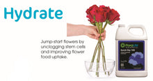 Load image into Gallery viewer, FLORALIFE® QUICK DIP 500 ML