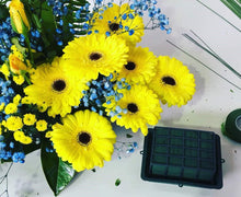 Load image into Gallery viewer, OASIS® Easy Fix Standard Holder