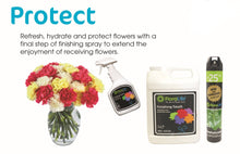 Load image into Gallery viewer, Floralife® Finishing Touch 32OZ
