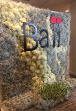 Load image into Gallery viewer, OASIS® FLORAL SHEET (61CM X 45.7CM X 3.8CM)