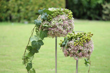 Load image into Gallery viewer, OASIS® IDEAL QUARTER BLOCK