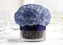 Load image into Gallery viewer, OASIS® Sphere 22CM