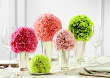 Load image into Gallery viewer, OASIS® Sphere 30CM