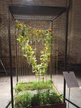 Load image into Gallery viewer, LARGE TUBE