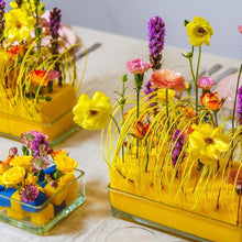 Load image into Gallery viewer, Rainbow Sunny Yellow