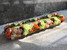 Load image into Gallery viewer, Rainbow Eychenne Green