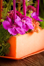 Load image into Gallery viewer, Rainbow Tangerine