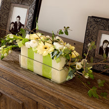 Load image into Gallery viewer, Rainbow Lime Green