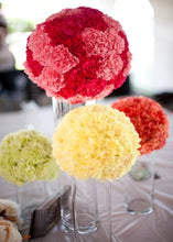 Load image into Gallery viewer, OASIS® Sphere 15CM