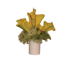 Load image into Gallery viewer, Bravo Large