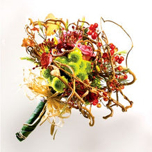 Load image into Gallery viewer, OASIS® Lady II