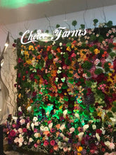 Load image into Gallery viewer, OASIS® FLORAL SHEET (61CM X 45.7CM X 3.8CM)