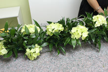 Load image into Gallery viewer, OASIS® Netted Garlands (Rectangular Foam 18CMx 6CM X4CM)