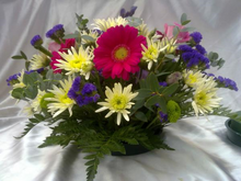 Load image into Gallery viewer, OASIS® 30CM Posypad